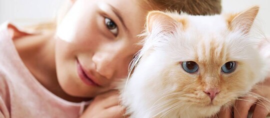 Ein Mädchen kuschelt mit einer Katze.