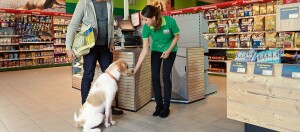 Mitarbeiterin im Zoofachgeschäft füttert Hund mit Leckerli, Mann hält Tierfutter, gut sortierte Regale mit Hundefutter und Snacks