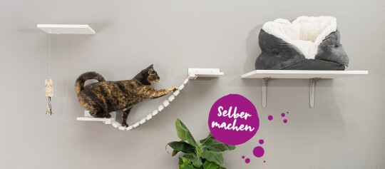 Tortoiseshell-Katze auf modernem DIY-Katzen-Klettersystem mit weißen Regalen, Hängebrücke und gemütlichem Katzenbett an grauer Wand.