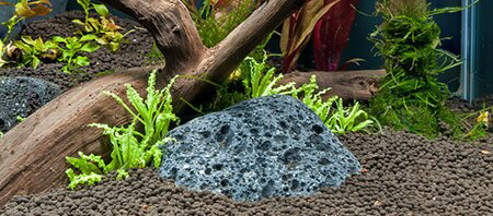 Aquarium_Ausstattung_1200x527 Natürliche Aquarienlandschaft mit porösem Lavastein, Treibholz und grünen Wasserpflanzen auf braunem Kies