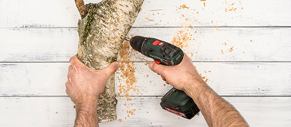 DIY_Futterbaum_Beitrag_02_1200x527 DIY Futterbaum für Kaninchen