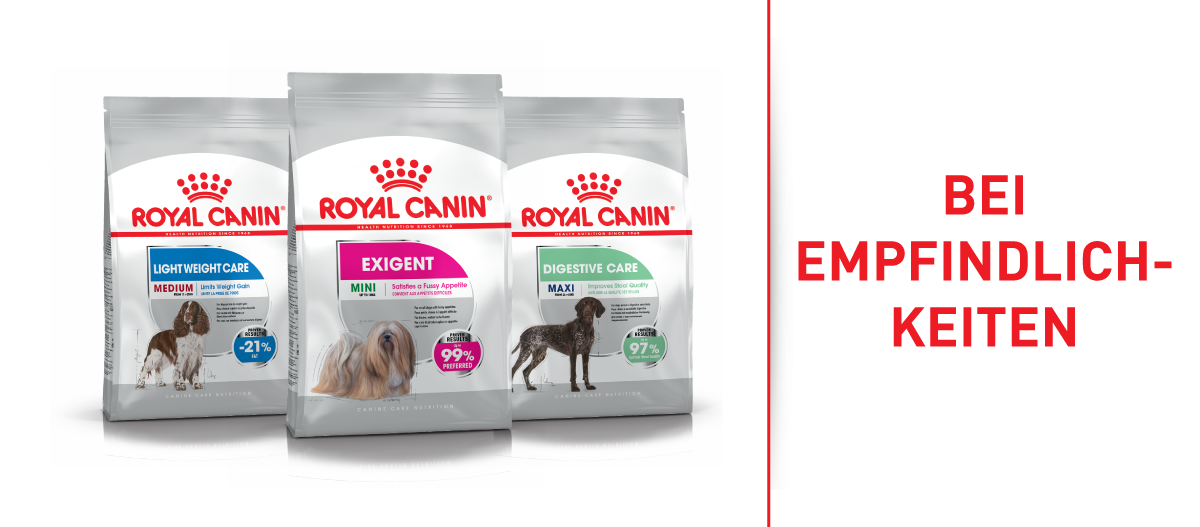 Drei Royal Canin Hundefutterbeutel für spezielle Bedürfnisse: Light Weight Care Medium, Exigent Mini und Digestive Care Maxi.