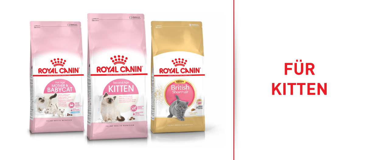 RC_Brand_Shop_FRESSNAPF-2 Royal Canin Katzenfutter für Kätzchen – Mutter & Baby, Kitten bis 12 Monate und British Shorthair Kitten