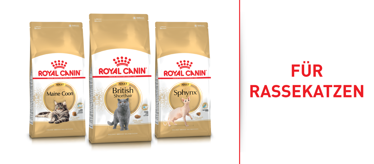 RC_Brand_Shop_FRESSNAPF-3 Royal Canin Katzenfutter für Rassekatzen Maine Coon, British Shorthair und Sphynx in gold-weißer Verpackung