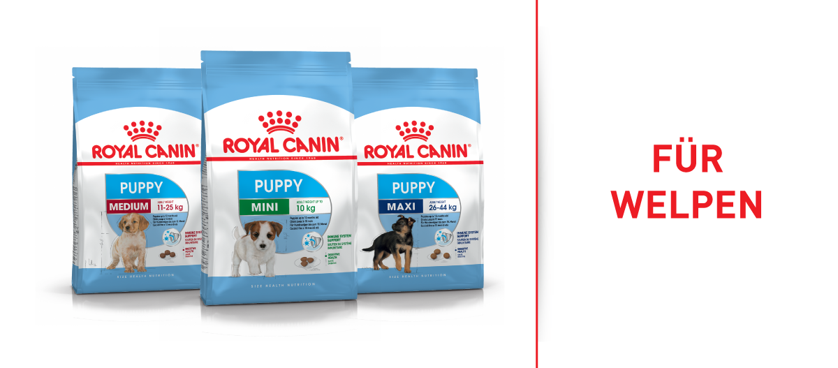 Royal Canin Welpenfutter für Mini-, Medium- und Maxi-Hunde in drei verschiedenen Packungen