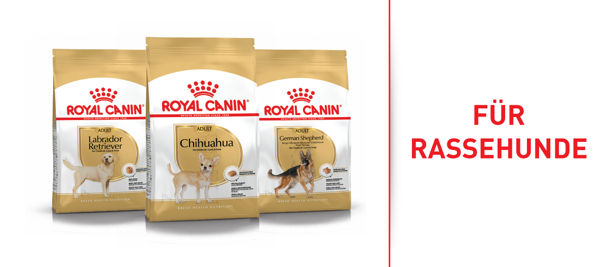 Royal Canin Hundefutter für Rassehunde Labrador Retriever, Chihuahua und Deutscher Schäferhund in der Erwachsenenform