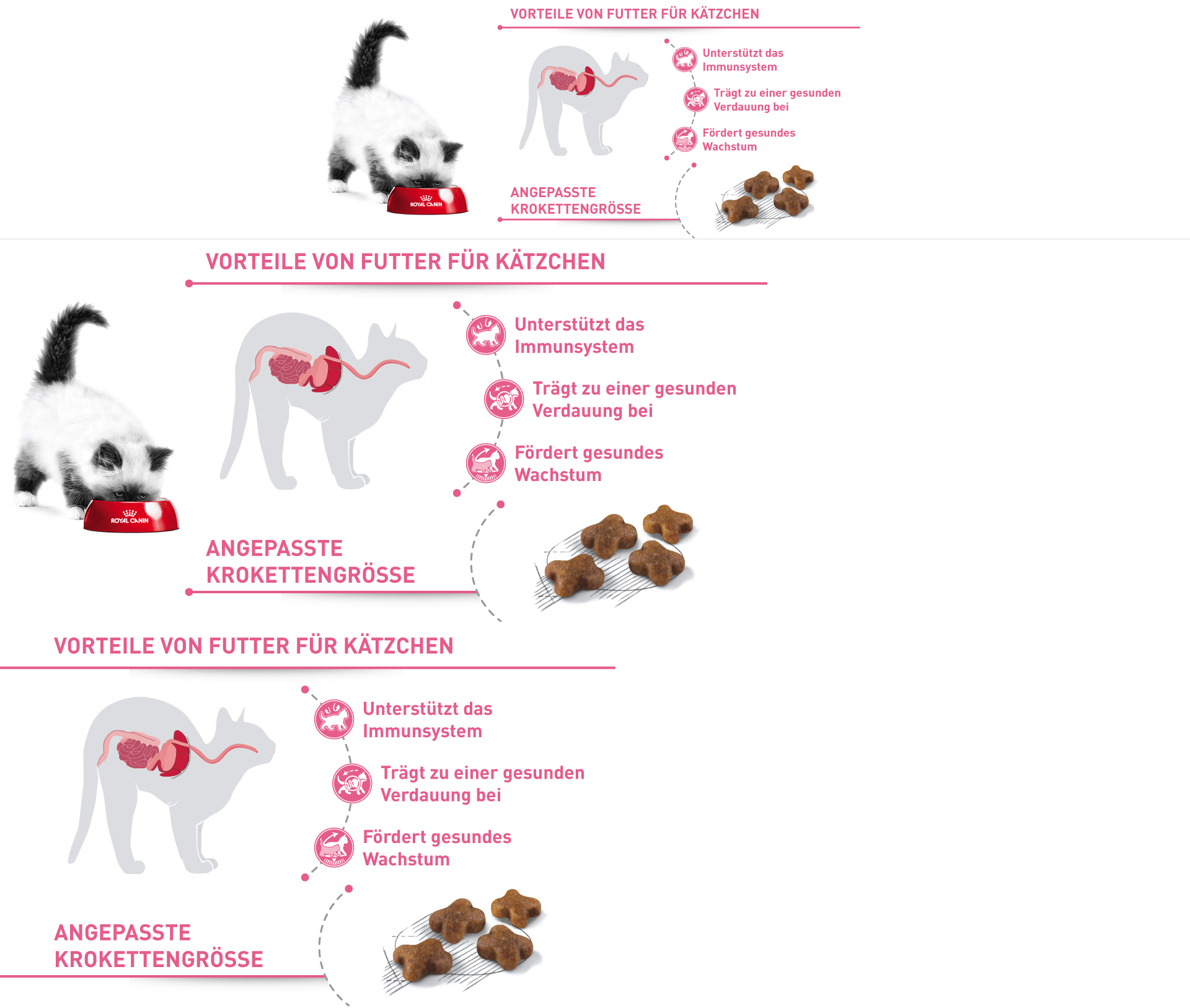 Kittenfutter Vorteile Infografik mit Katze, die aus Royal Canin Napf frisst, zeigt Unterstützung des Immunsystems, gesunde Verdauung, gesundes Wachstum und angepasste Krokettengröße