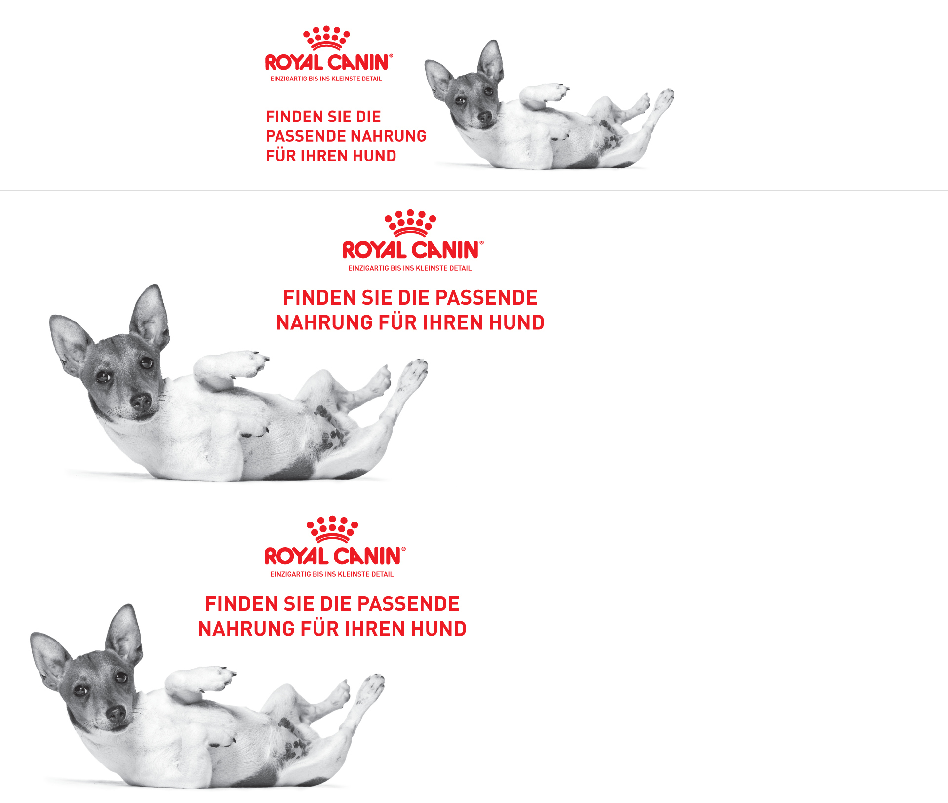 Royal Canin-Logo mit kleinem Hund, der auf dem Rücken liegt, und rotem Text 'Finden Sie die passende Nahrung für Ihren Hund'