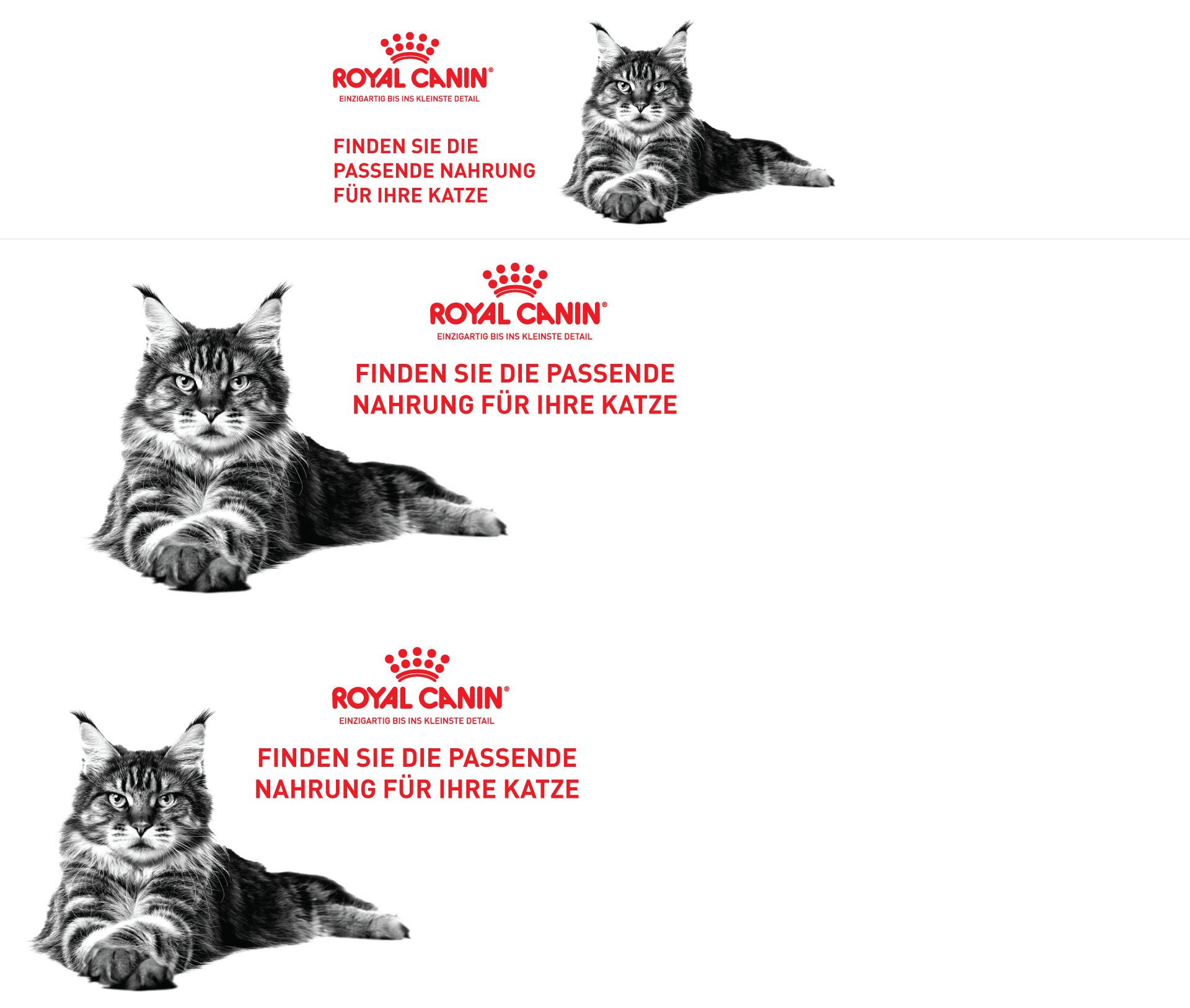 Royal Canin-Logo mit dem Text „Finden Sie die passende Nahrung für Ihre Katze“ und einem liegenden Maine-Coon-Kater.