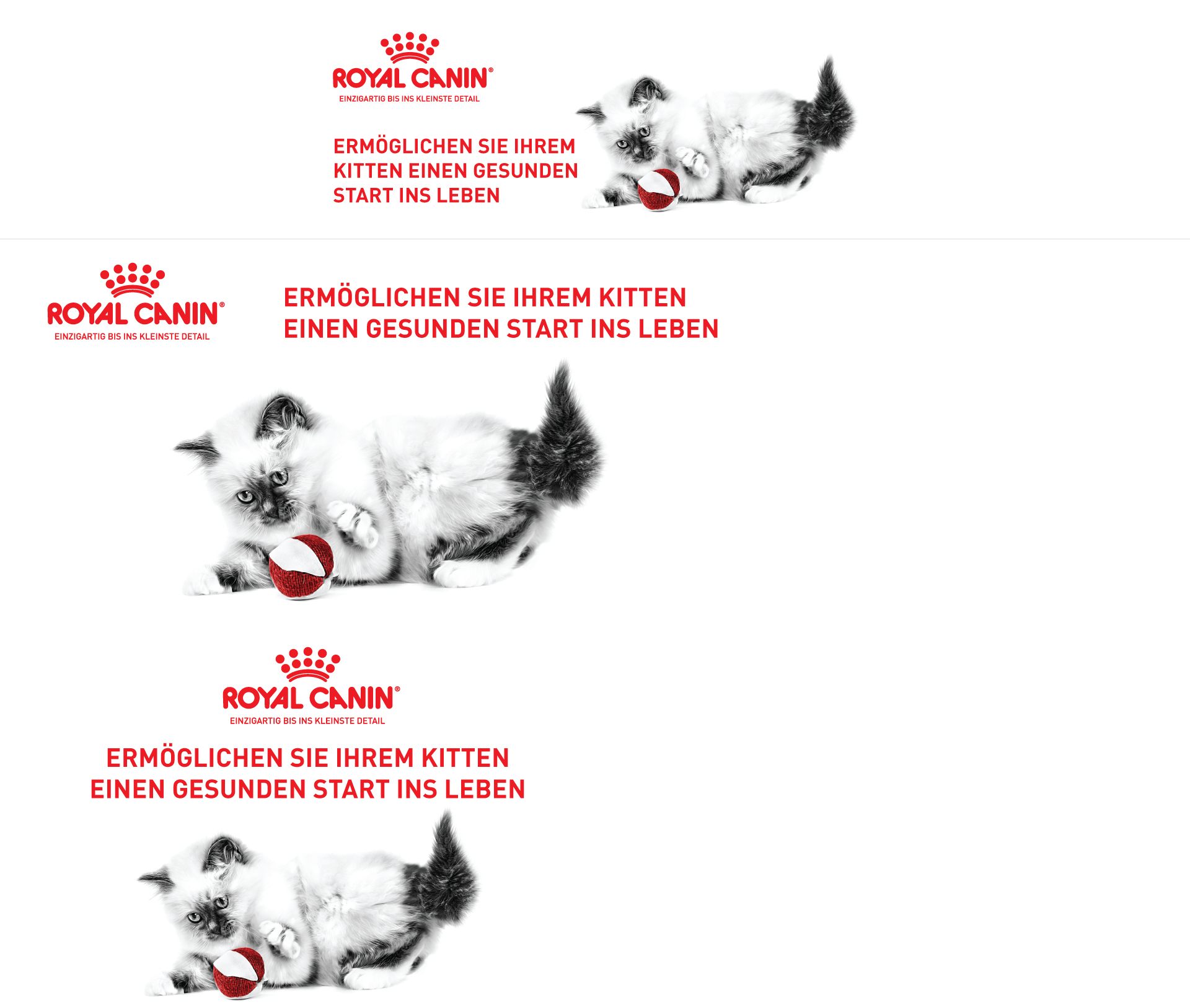 Fluffiges Kätzchen spielt mit rotem und weißem Ball neben Royal Canin-Logo und Slogan für einen gesunden Start ins Leben.