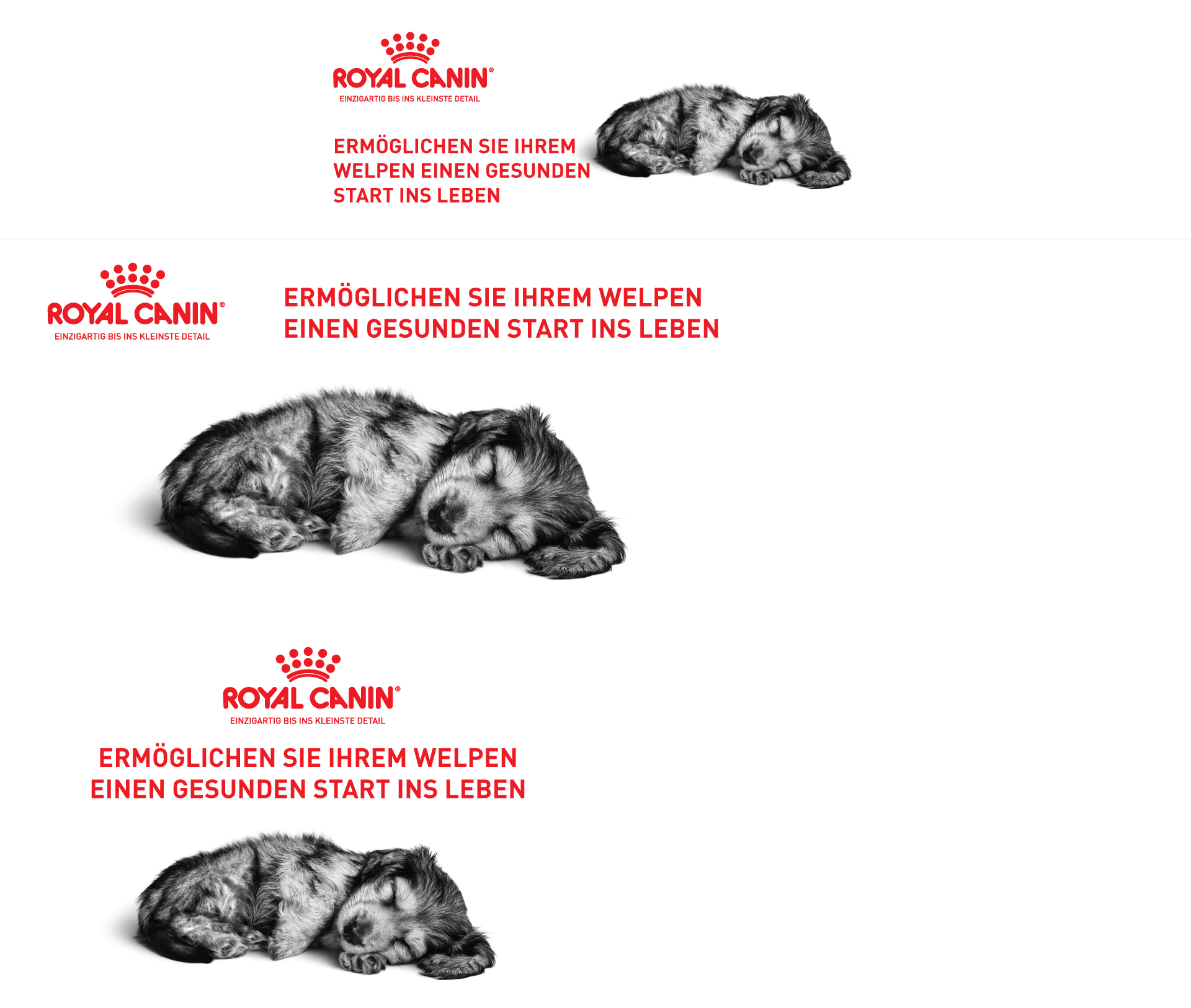Schlafender Welpe neben Royal Canin Logo mit dem Text „Ermöglichen Sie Ihrem Welpen einen gesunden Start ins Leben“