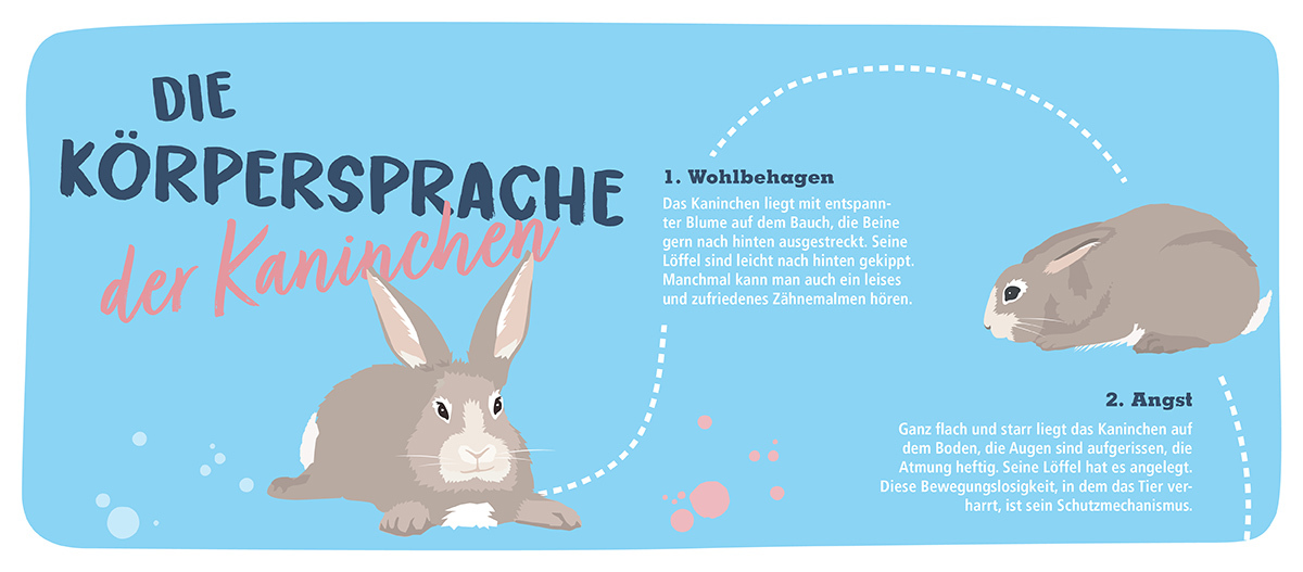 02_0121_Online_Kaninchen_Stimmungen_Infografik_Bild1 Körpersprache Kaninchen
