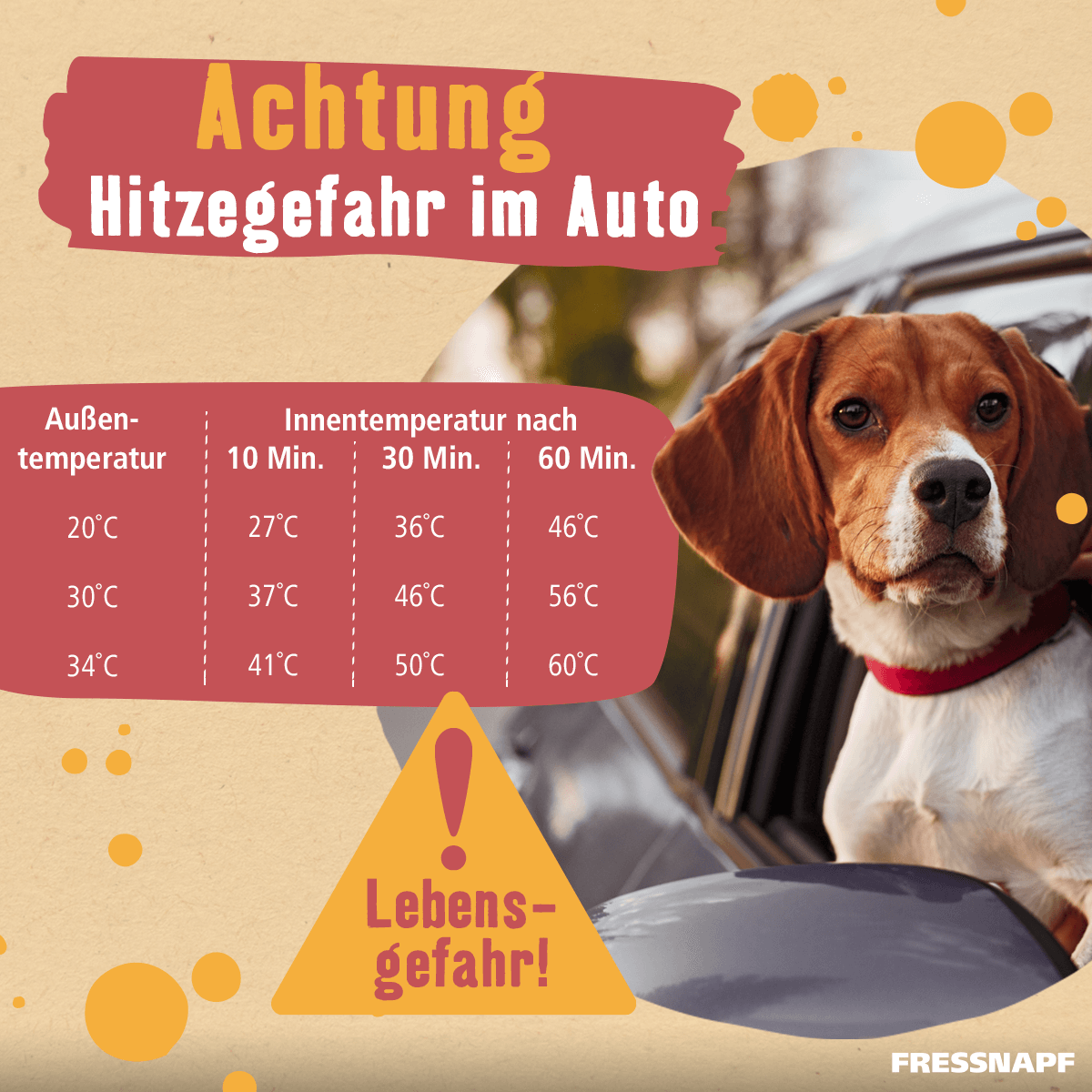 Komprimiert_Hitze_Hund_Lebensgefahr_1200x1200 Warnhinweis zur Hitzegefahr im Auto mit Temperaturtabelle und Hund im Auto, Lebensgefahr durch hohe Innentemperaturen
