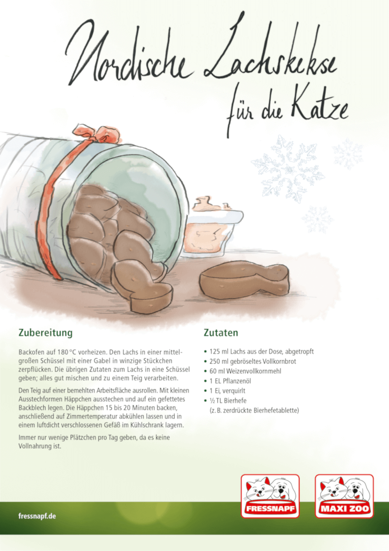 Weihnachtsrezepte Lachskekse Illustration eines Rezepts für nordische Lachskekse für Katzen mit Zutatenliste und Zubereitungsschritten, inklusive fischförmiger Kekse und Backanleitung.