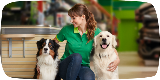 016_Modul_Markt_540x270