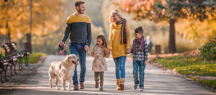 Eine Familie geht mit ihrem Hund spazieren Glückliche Familie mit zwei Kindern und einem Golden Retriever beim Spaziergang im herbstlichen Park