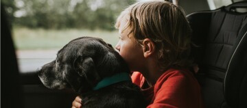 Kind umarmt schwarzen Hund im Auto, beide schauen aus dem Fenster auf grüne Landschaft