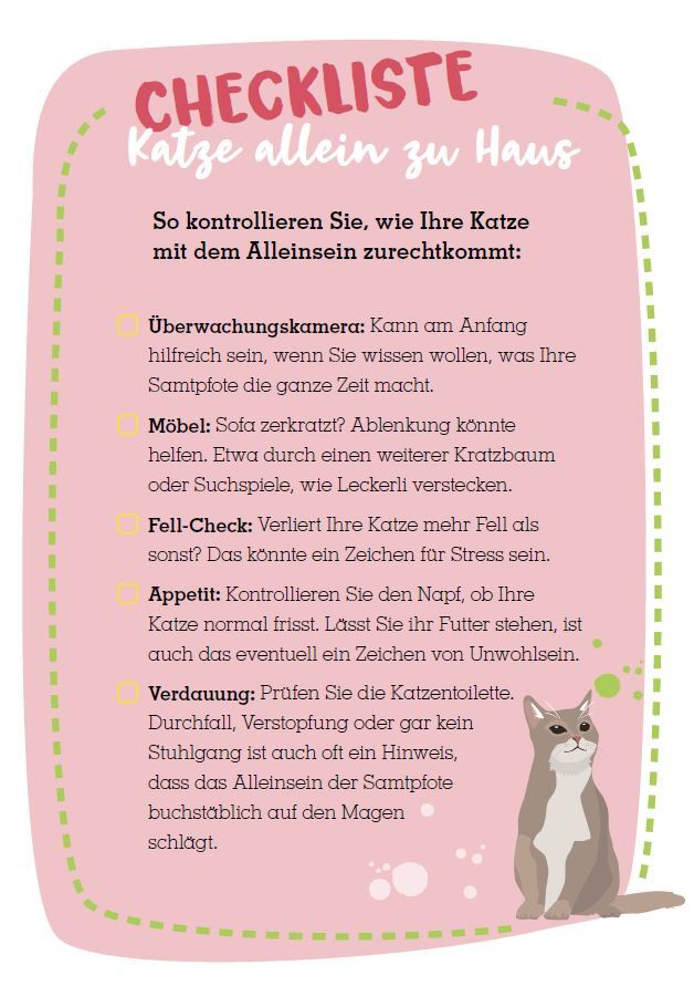 Infografik Checkliste Katze alleine lassen