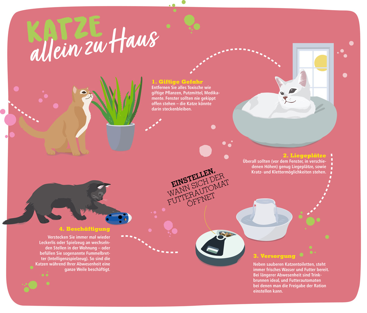 Infografik Katze alleine lassen