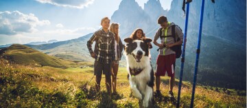 Junge Wanderer mit Hund auf Bergwanderung in malerischer Landschaft mit Gipfeln und grünem Tal