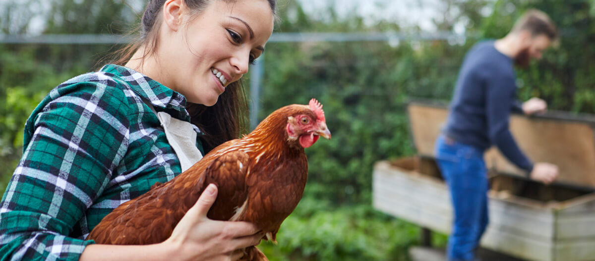 Eine Frau trägt im Garten ein Huhn auf dem Arm Eine Frau trägt im Garten ein Huhn auf dem Arm