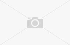 Mehrere Hühner auf einer Wiese