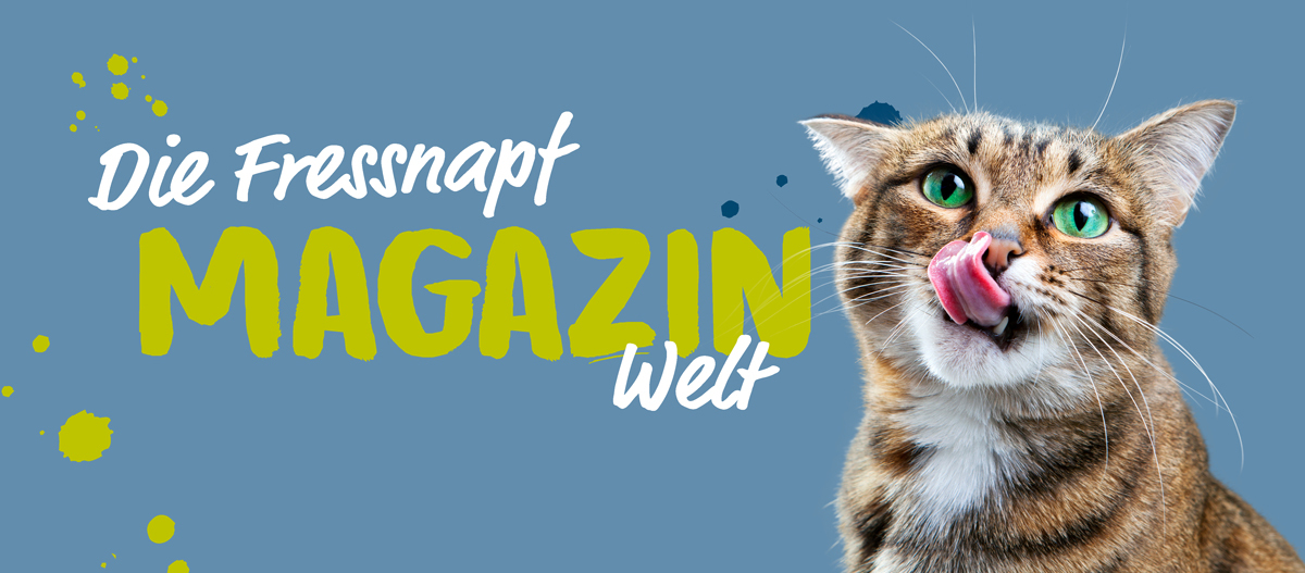 Online-Teaser-Magazin-Welt Online-Teaser-Magazin-Welt