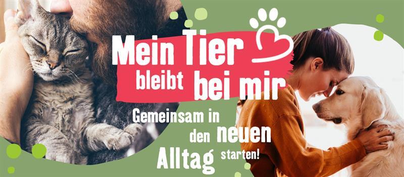 Mein Tier bleibt bei mir - Gemeinsam in den neuen Alltag starten Mein Tier bleibt bei mir - Gemeinsam in den neuen Alltag starten