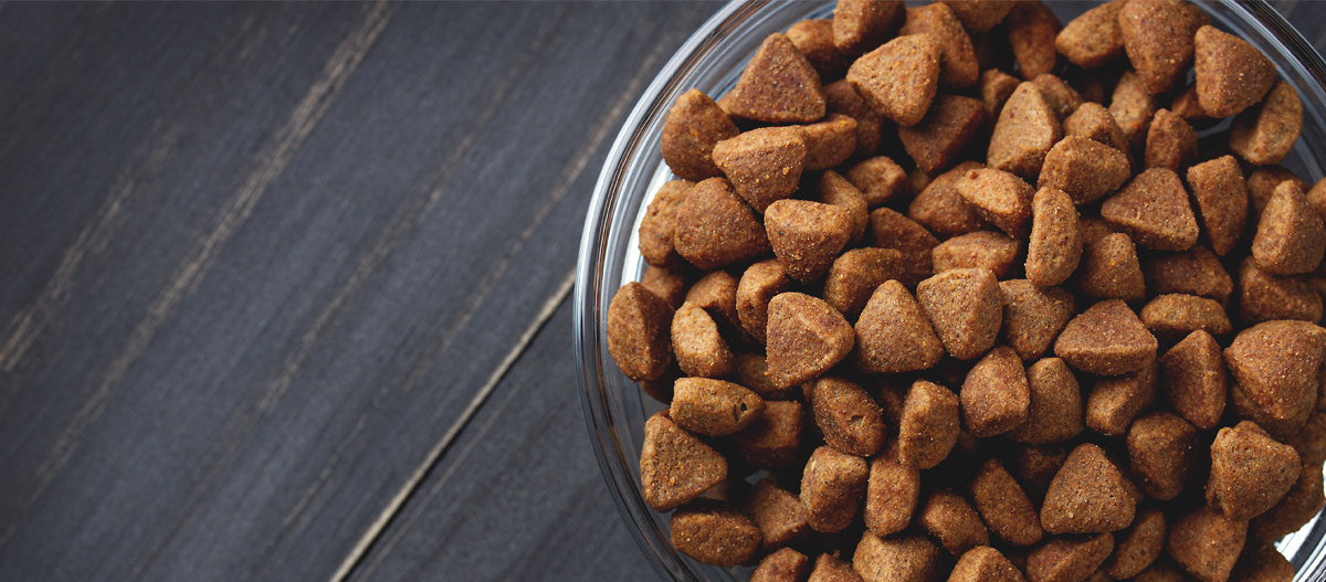 Futternapf gefüllt mit Trockenfutter Schüssel mit trockenem Hundefutter in dreieckiger Form auf dunklem Holztisch