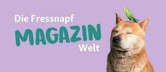 Fressnapf Magazin Welt