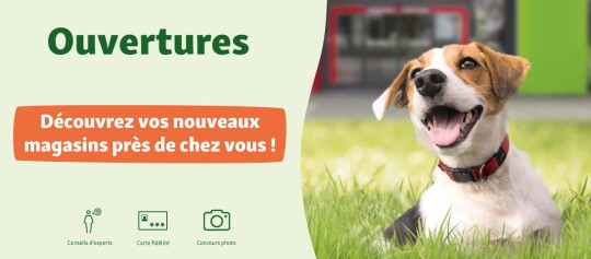 Bannière ouvertures de magasins France