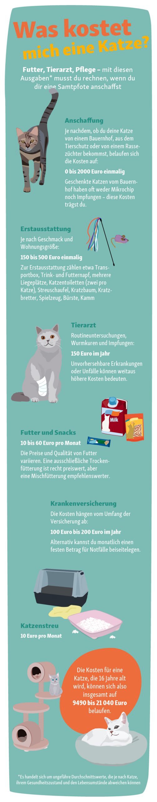 CP_NewPet_06_Kostenuebersicht_mobil_211213 Kostenübersicht für eine Katze