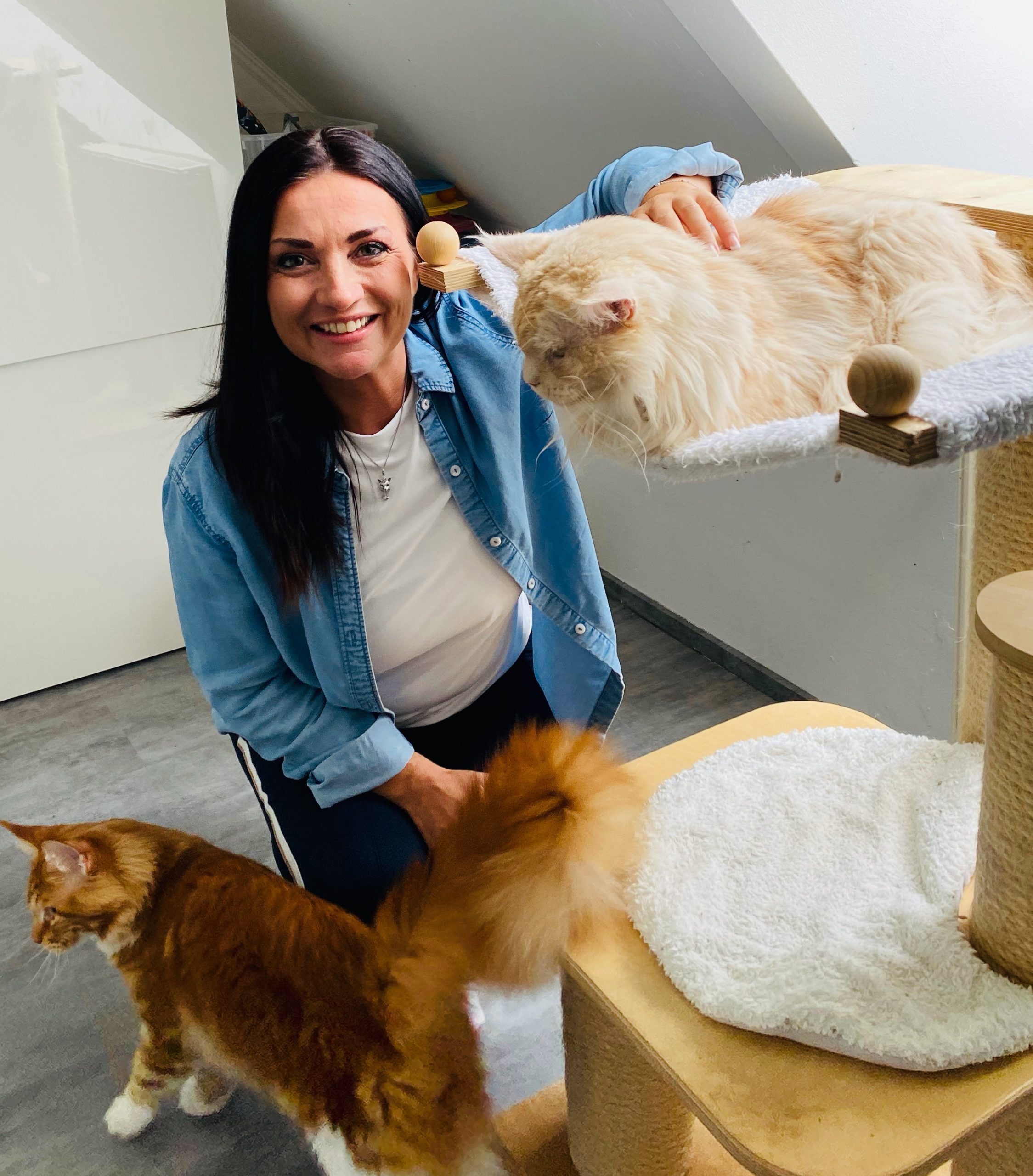 Kopie von @petraott acatemy katzenschule184 Petra Ott Katzenexpertin