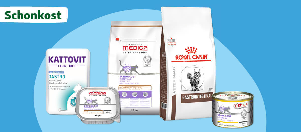 Schonkost für Katzen