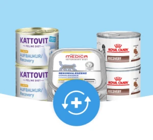 Veterinär-Ernährungsprodukte zur Genesung für Haustiere, einschließlich Kattovit Aufbaukur, Medica Rekonvaleszenz und Royal Canin Recovery Dosen.