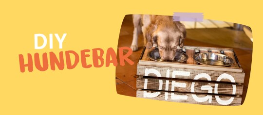 DIY Hundebar aus Holz mit zwei Edelstahlnäpfen und personalisiertem Namen