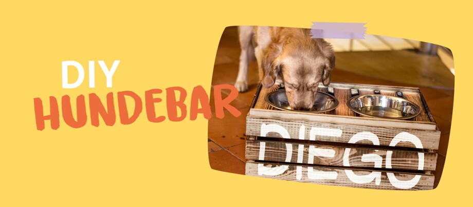 DIY Hundebar aus Holz mit zwei Edelstahlnäpfen und personalisiertem Namen 