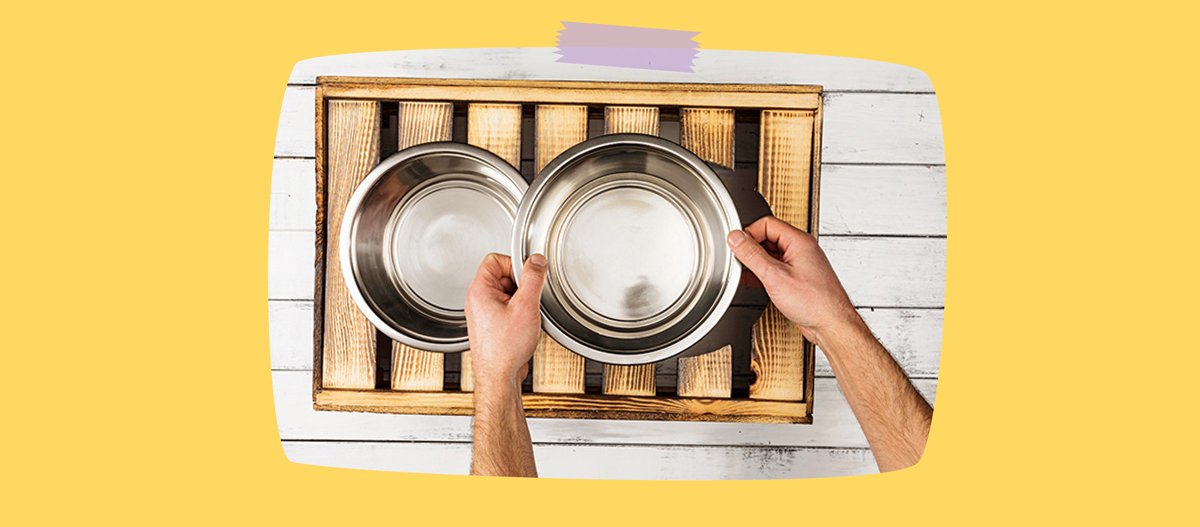 Zwei Edelstahl-Hundenäpfe werden von Händen in eine rustikale Holzkiste auf weißem Holzhintergrund gelegt.