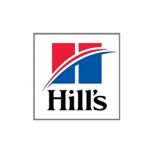 DE_WK13_Normierung_Brandlogo_Hills