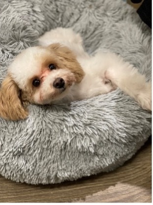 Alex & Sartje avatar