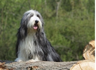 Jenny & George avatar