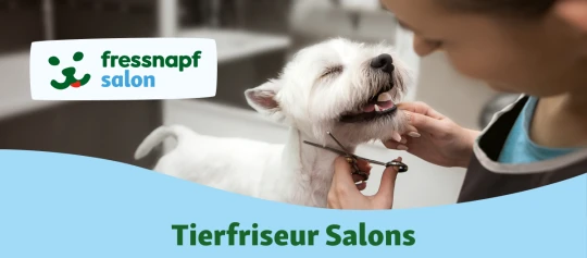 Glücklicher weißer Hund wird professionell im Fressnapf Salon getrimmt, Tierfriseur Salons für liebevolle Fellpflege.