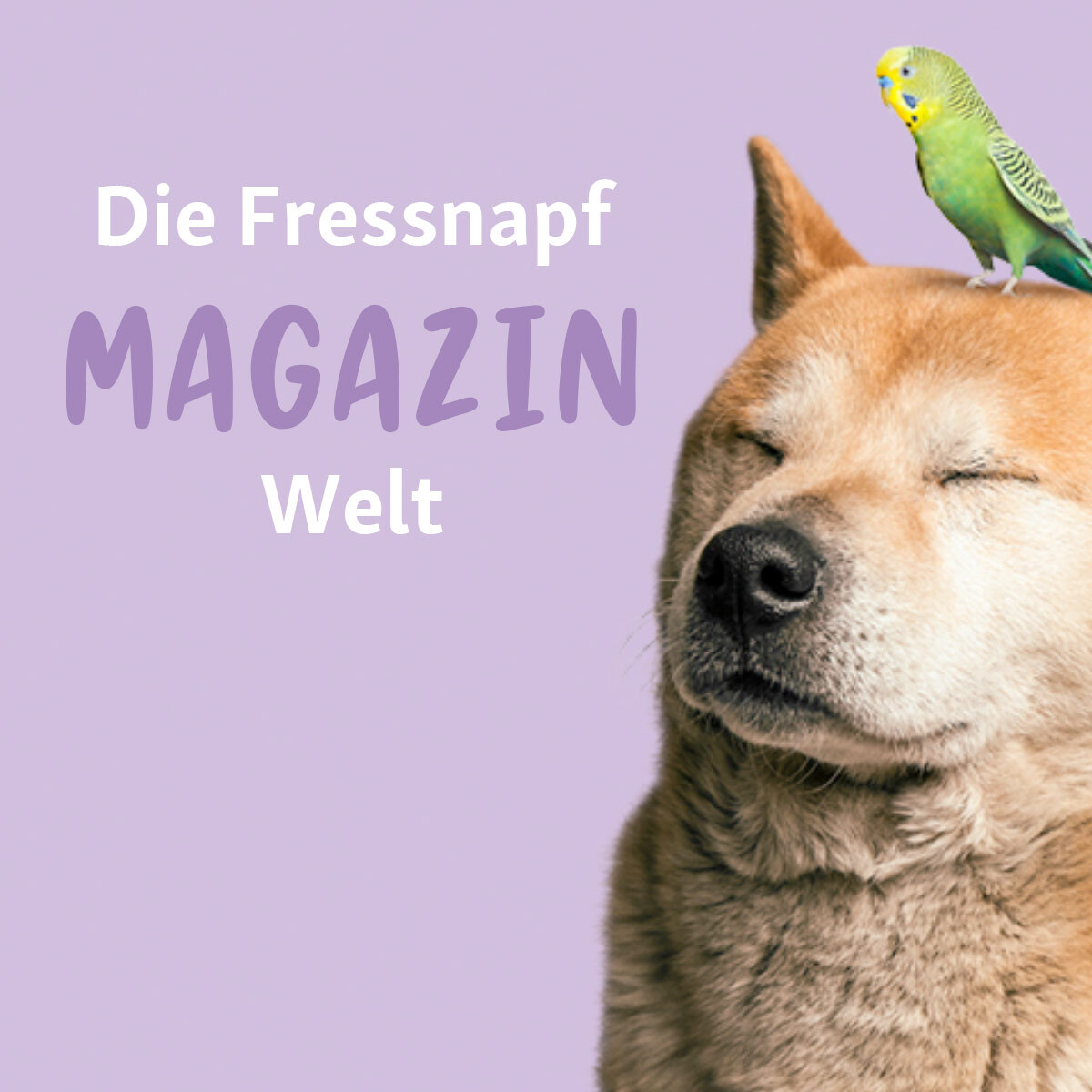 service_vis_magazin_quadratisch Zufriedener Hund mit geschlossenen Augen und einem grünen Wellensittich auf dem Kopf vor lila Hintergrund, Fressnapf Magazin Welt Schriftzug