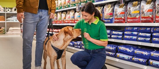 Mann mit Hund im Tierfachgeschäft, Verkäuferin streichelt Hund vor Regal mit Hundefutter