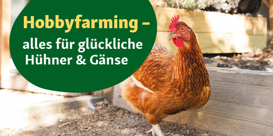 Hobbyfarming- alles für glückliche Hühner & Gänse