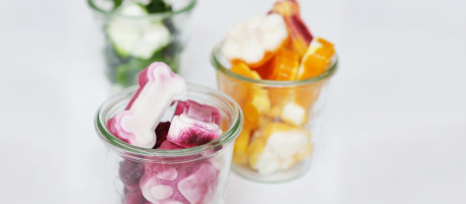 Bunte Hundeleckerlis in Knochen- und Pfotenform in kleinen Glasbehältern auf weißem Hintergrund