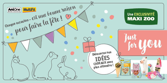 MZ_6erTeaser_540x270_AniOne_celebration_BE-FR_KQ Anione Celebration