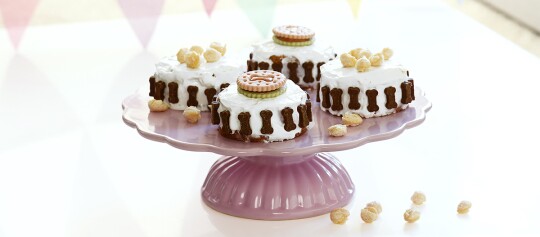 DIY-Hundekuchen fertig zum füttern