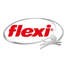 Logo Flexi
