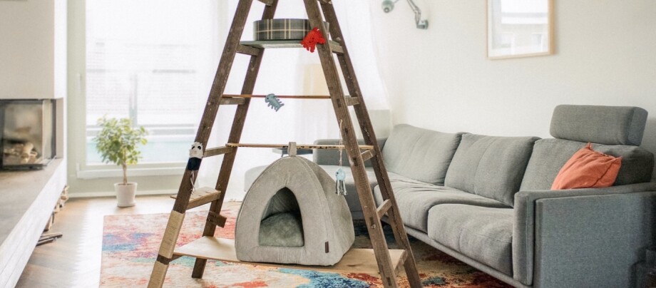 Fressnapf Haustiergeschäft Außenansicht mit Eingang, Werbebanner und grünen Fahnen, alles für wahre Freunde.